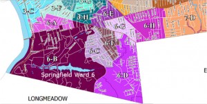 In purple tone, Ward 6 in Springfield covers much of the Forest Park neighborhood. Where Precincts 6B, 6C, 6E & 6H converge is the X. (via mass.gov)